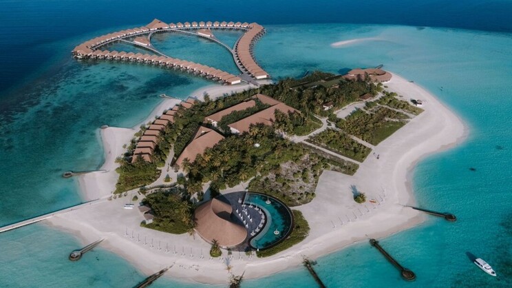 Cinnamon Velifushi